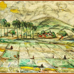 1942 rice paddy in goa