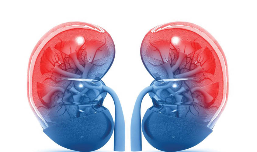 National conference on renal care on 28 May - The Sunday Guardian Live