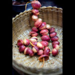 A string of the fruity-tasting rhizome known as mango ginger, spiced and ready for pickling, at the home of Usha Prabakaran in Chennai, India, Dec. 10. 2019. (Saumya Khandelwal/The New York Times)