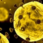 coronavirus_topic_header_1024