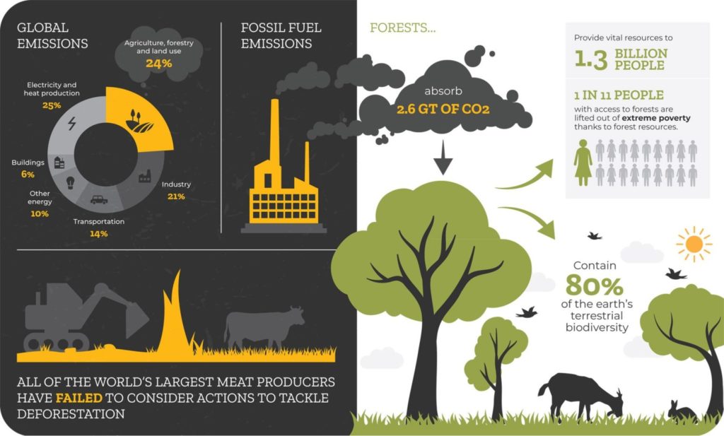 Corporate Carbon Footprint Pledges Must Be Backed By Transparent ...