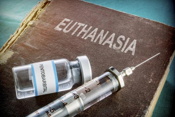 is euthanasia morally right essay