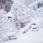 More snowfall makes Kashmir tour operators ecstatic