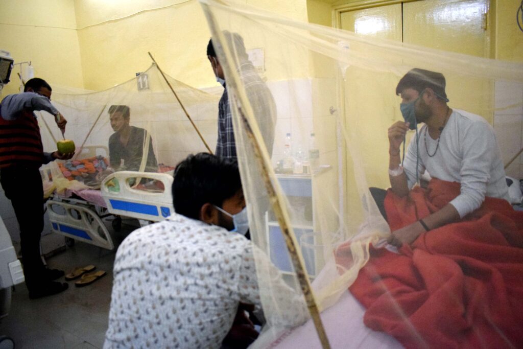 Surging Dengue Cases In Delhi Trigger Health Concerns - The Sunday ...