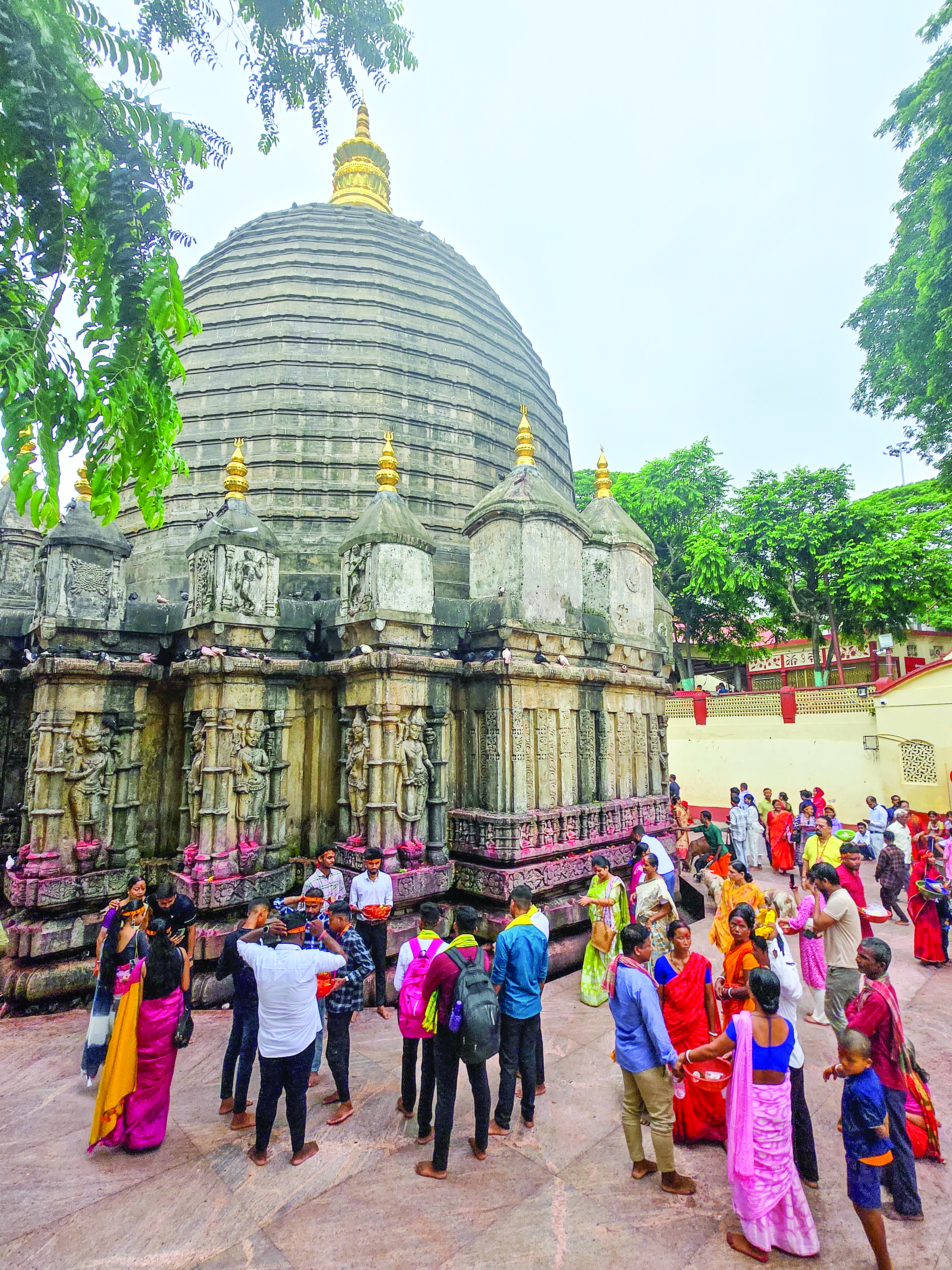 A Quest of the Yoni and the Divine Feminine