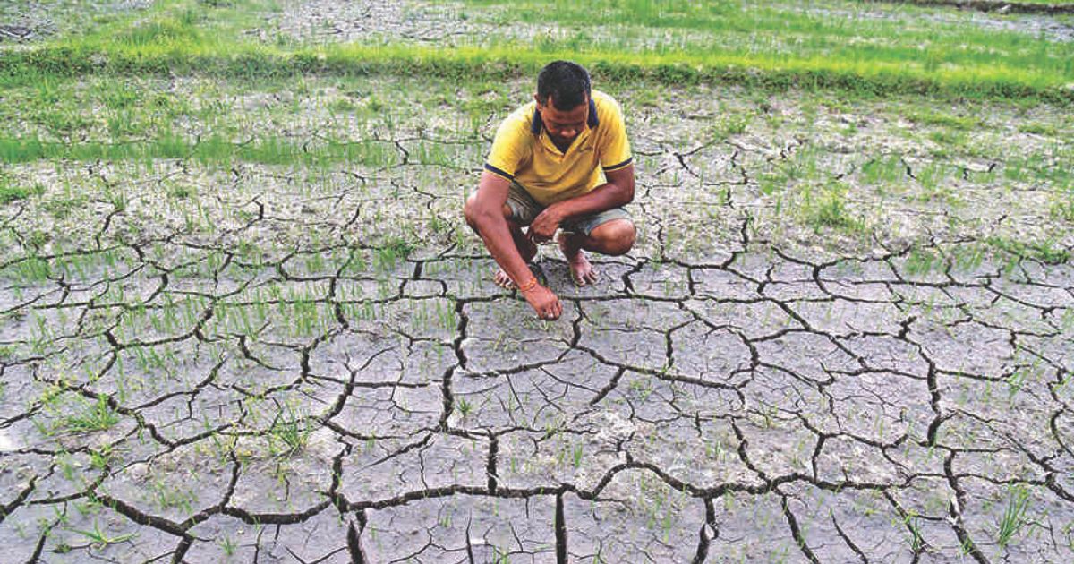 Assam faces drought-like crisis amid rainfall deficit