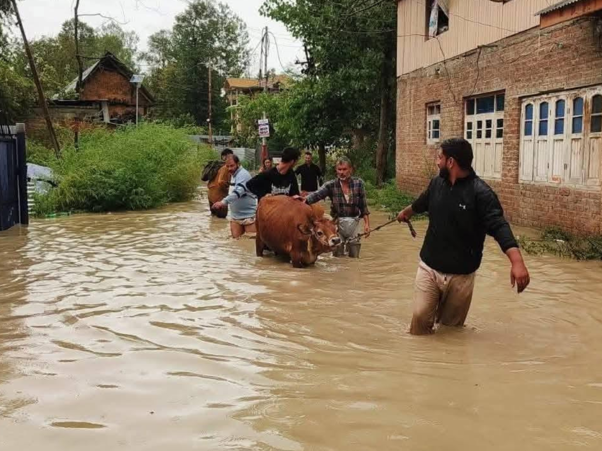 Authorities on high alert as Jhelum crosses danger mark at Sangam