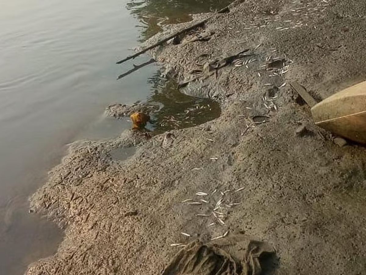 DEADLY INFECTIONS AND TOXINS FROM WATER OUTDOORS