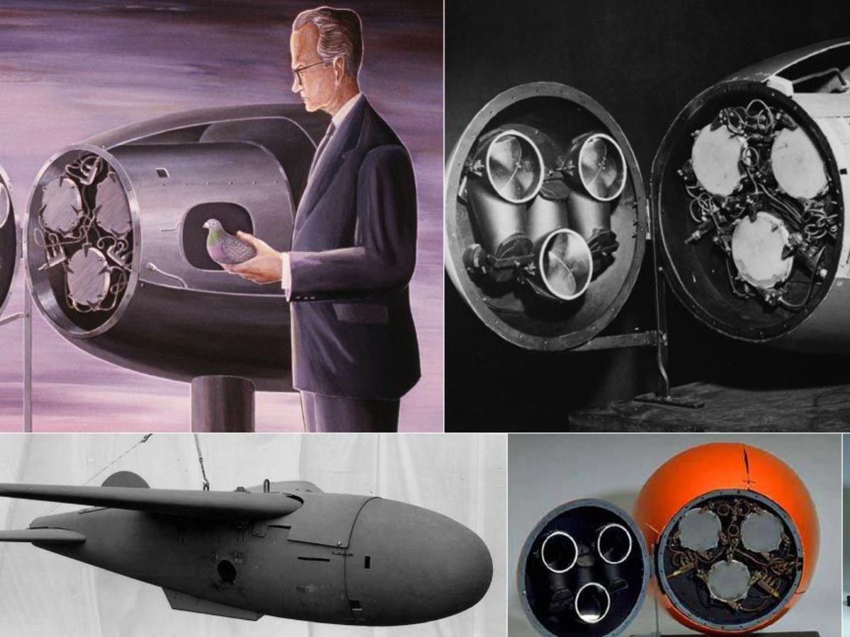 Stop launching pigeons, start measuring impact