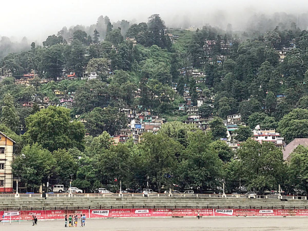 Grime, grub and the great forgetting