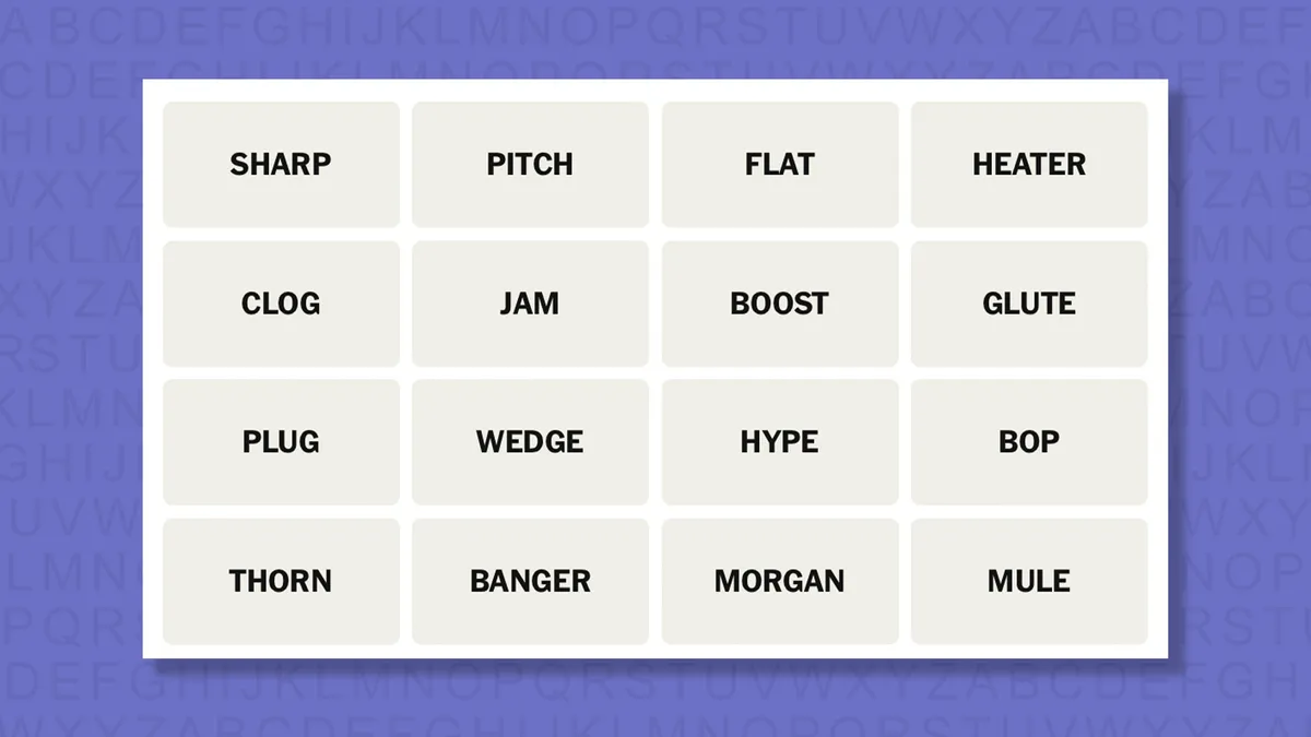 JTPBiFcEdC7tcuhoySeFaK120080jpg