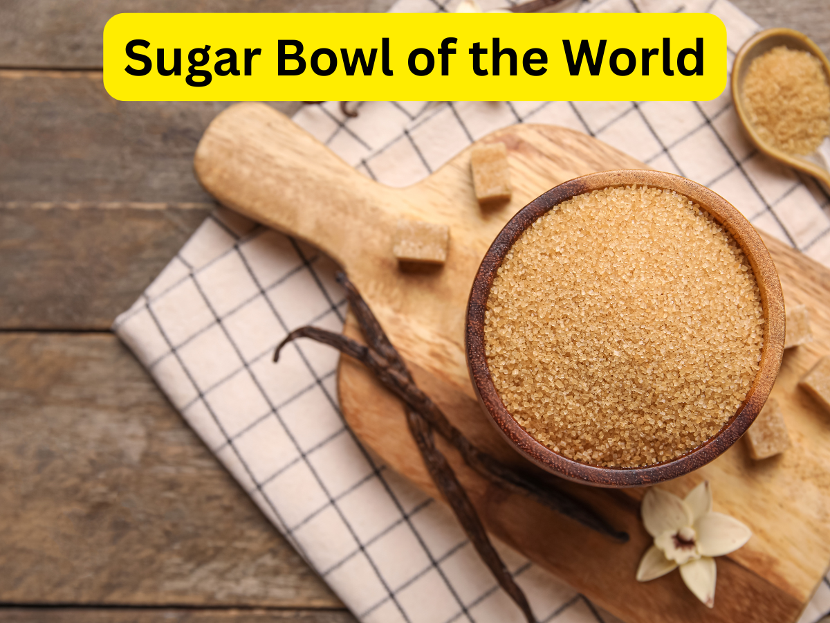 Which Country is Known as the Sugar Bowl of the World? Check the Facts