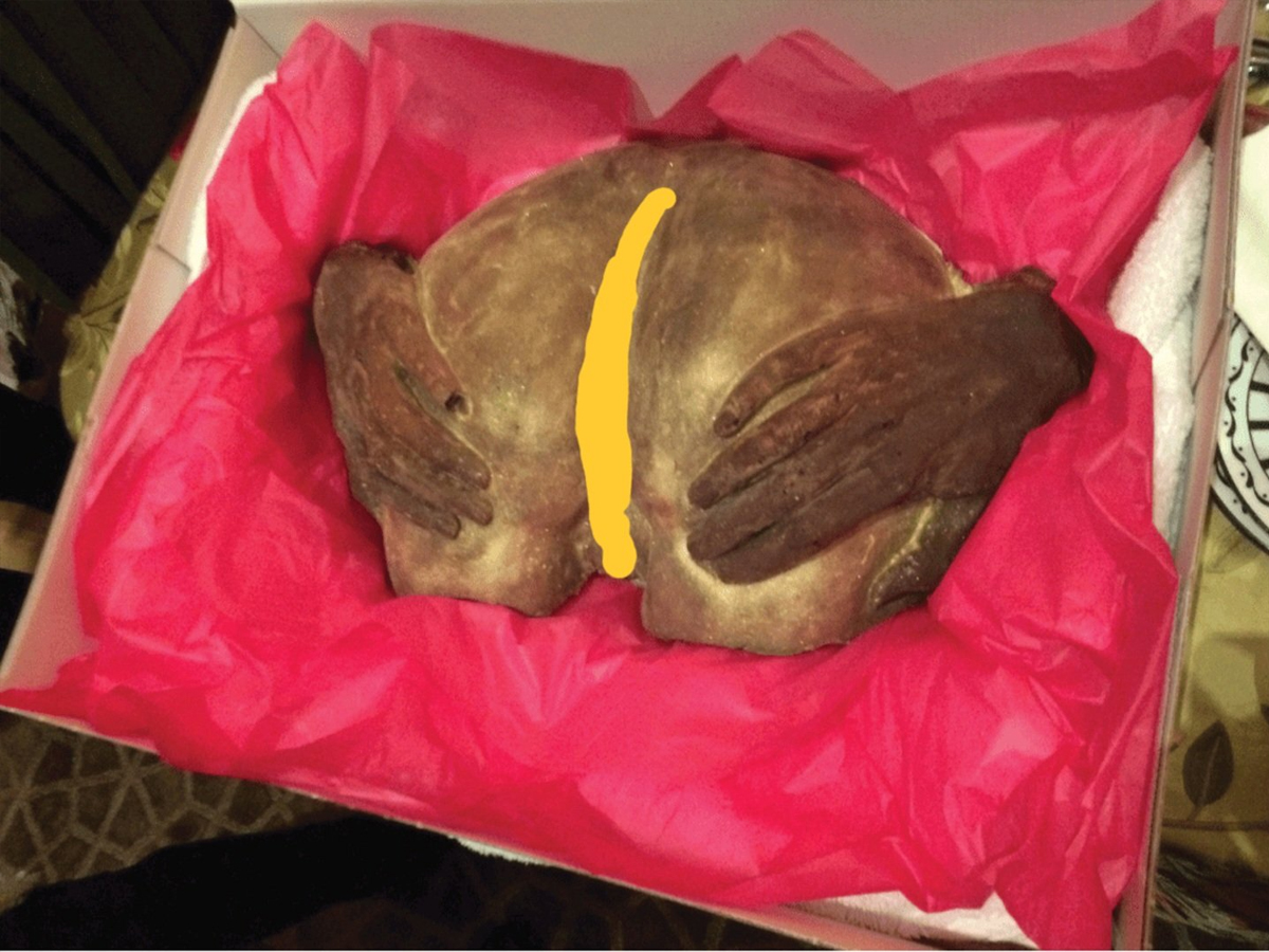 In Pics | Epstein Files Reveal High-Profile Connections & Previously Unseen Photos - Gallery Image