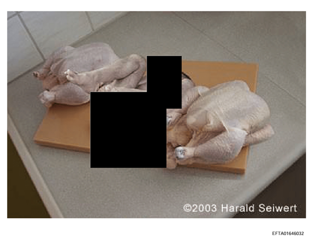 In Pics | Epstein Files Reveal High-Profile Connections & Previously Unseen Photos - Gallery Image