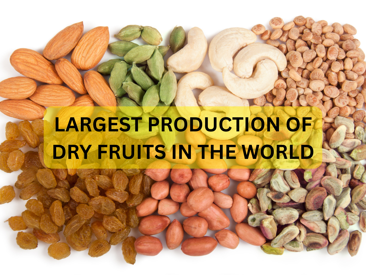 Which Country Has Largest Production of Dry Fruits in the World? Check Here's the Answer