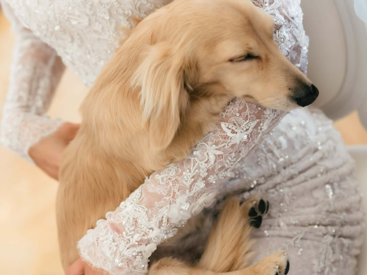 Leo Charles Leclercs dog Leo Charles Leclercs dog