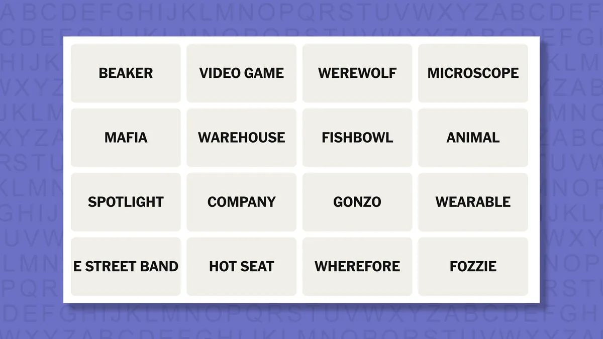 tHdhmdczoD22bSHtdmSWLQ120080jpg