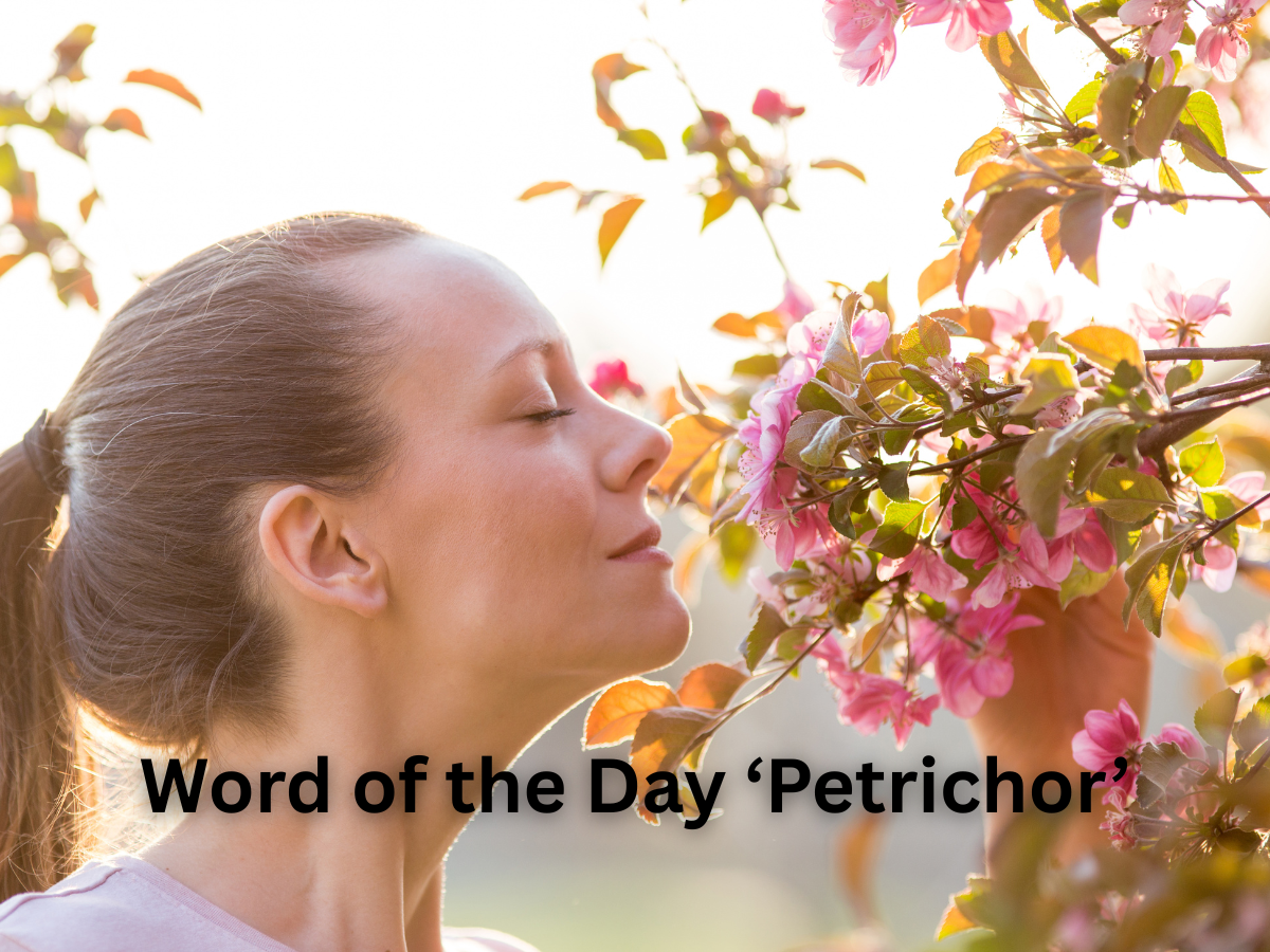 Learn the meaning, origin, pronunciation, phonetic spelling, IPA, and modern relevance of the word petrichor, which describes the pleasant smell after rainfall.