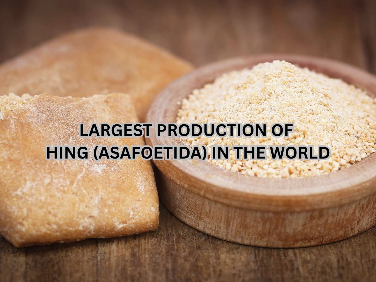 Which Country has Largest Production of Hing (Asafoetida) in the World? Here's the Answer