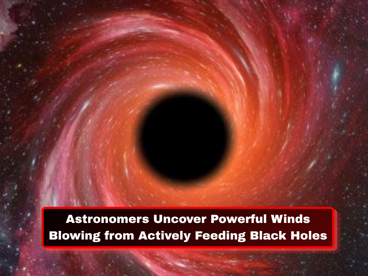 Astronomers Uncover Powerful Winds Blowing from Actively Feeding Black Holes, Offering Fresh Insights into Cosmic Growth and Galaxy Evolution