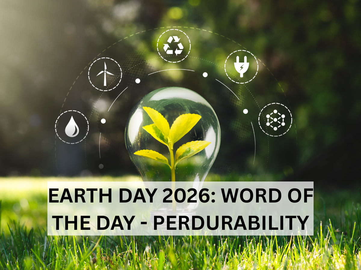 Word of the Day 'Perdurability': Check About Meaning, Origin, Phonetic, IPA & More