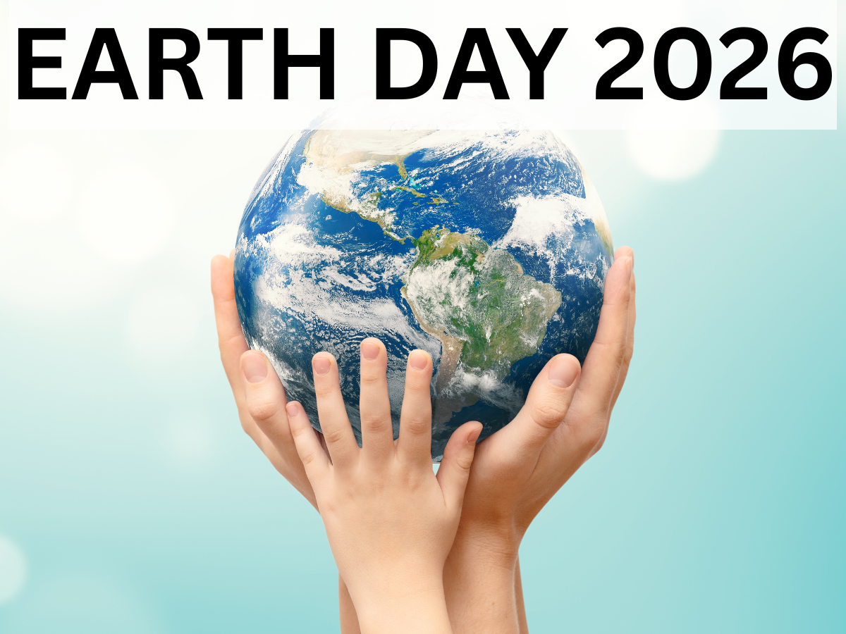 Earth Day 2026: What Are the Best Alternatives to Plastic to Save Mother Earth? Check Eco-Friendly Solutions & Sustainable Choices