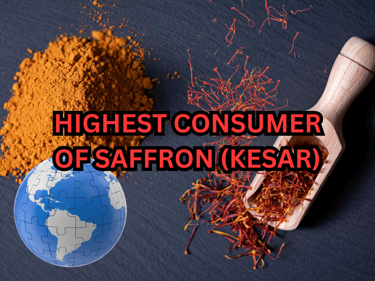 Which Country is Known for Largest Consumer of Saffron (Kesar) in the World? Here's the Answer