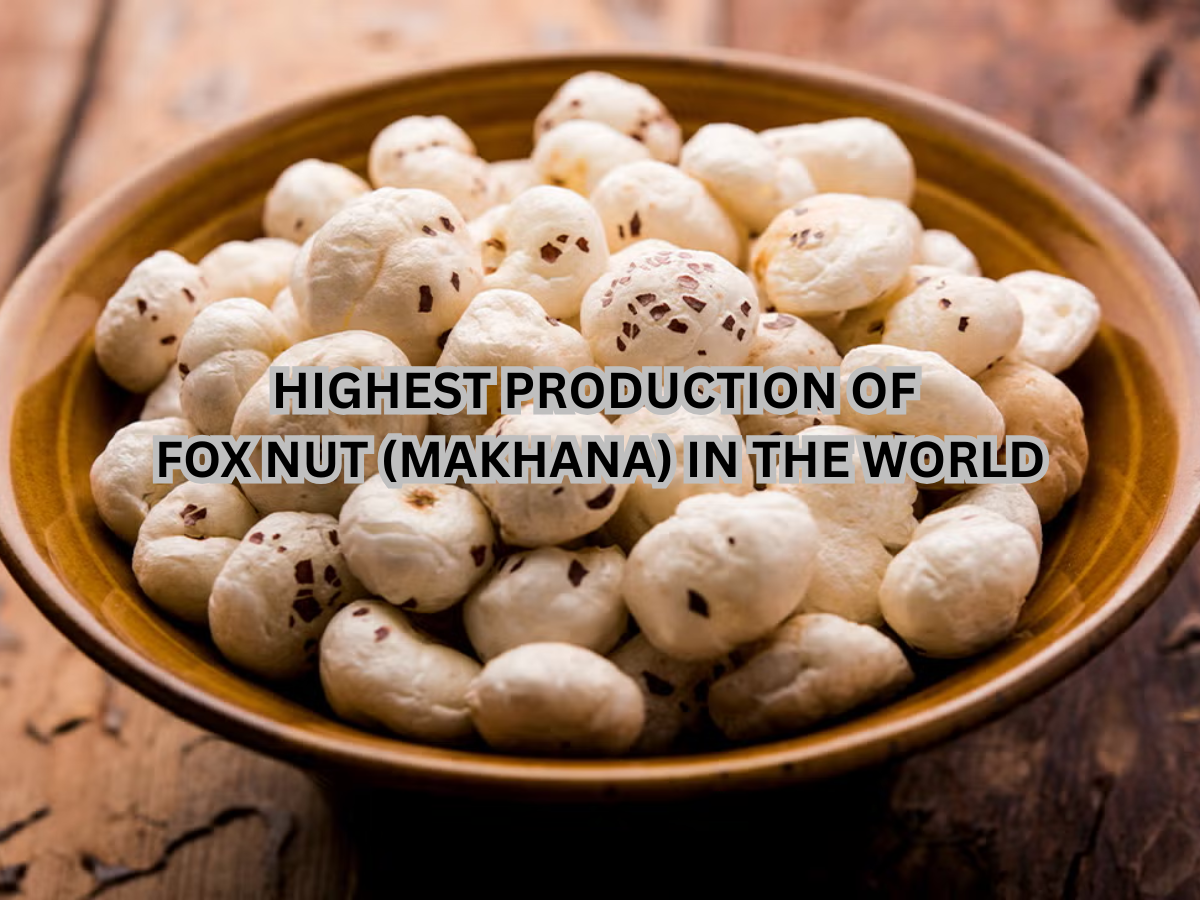 Which Country is Known as Largest Production of Fox Nut (Makhana) in the World? Check Here's the Answer