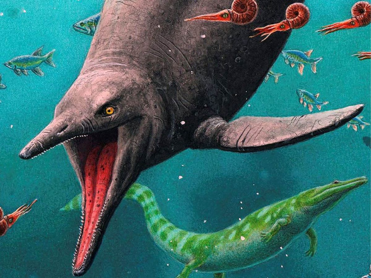 German Researchers Unearth 180-million-year-old Marine Fossil of a Dolphin-Like Predator, the Ichthyosaur: How It Fought Against Injuries