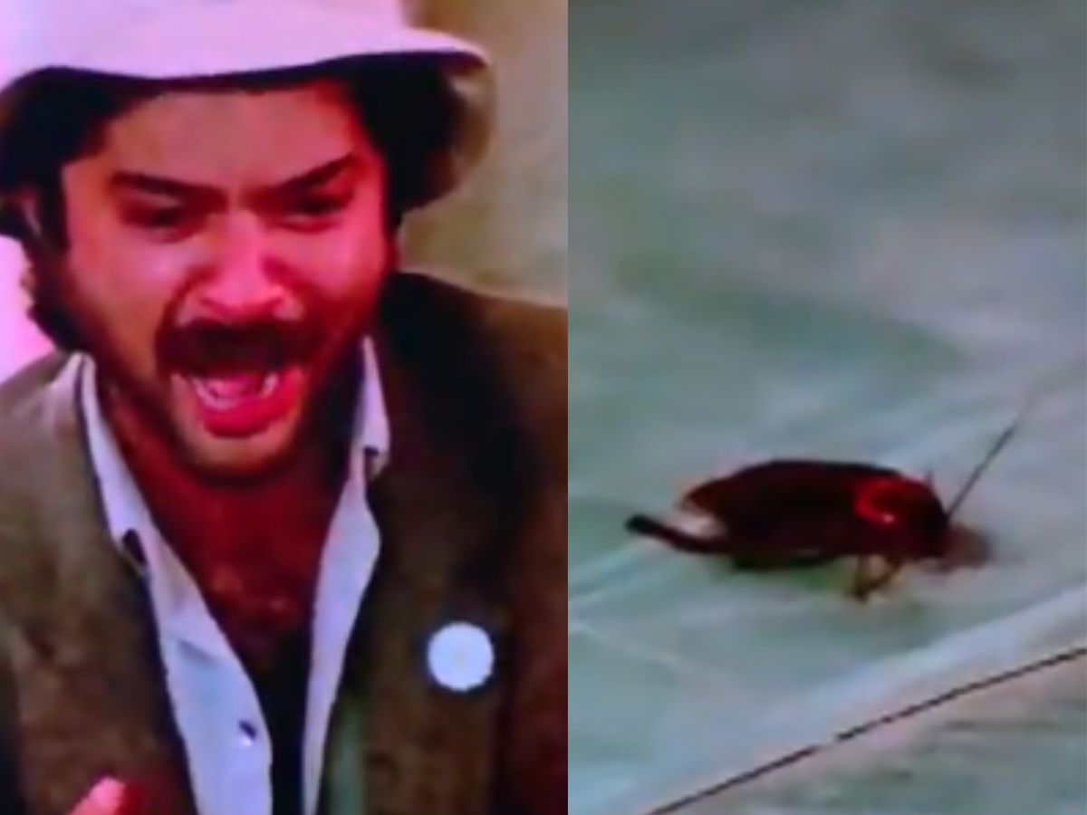 Why Anil Kapoor, Sridevi's Iconic Mr India Scene Is Going Viral Again — The Gen-Z Cockroach Trend Explained