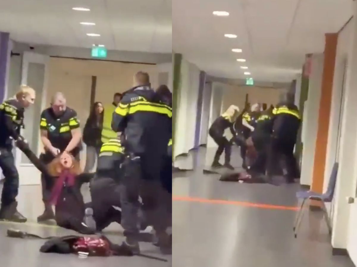 Did Dutch Police Throw Pregnant Woman On The Ground? Viral Video Sparks  Outrage