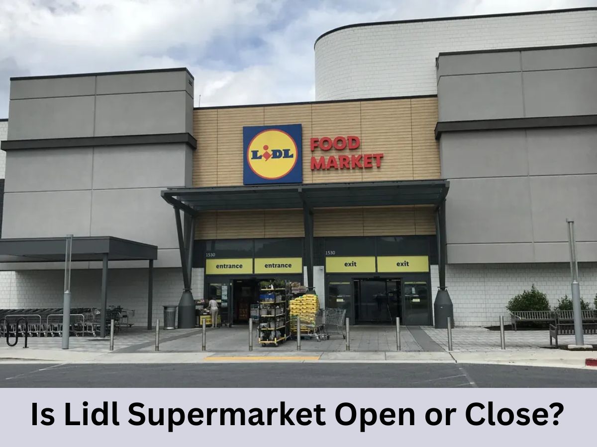 US Memorial Holiday 2026: Lidl Supermarket Opening & Closing Times – Are Stores Open or Closed Today [May 25]? Check Full Schedule Here