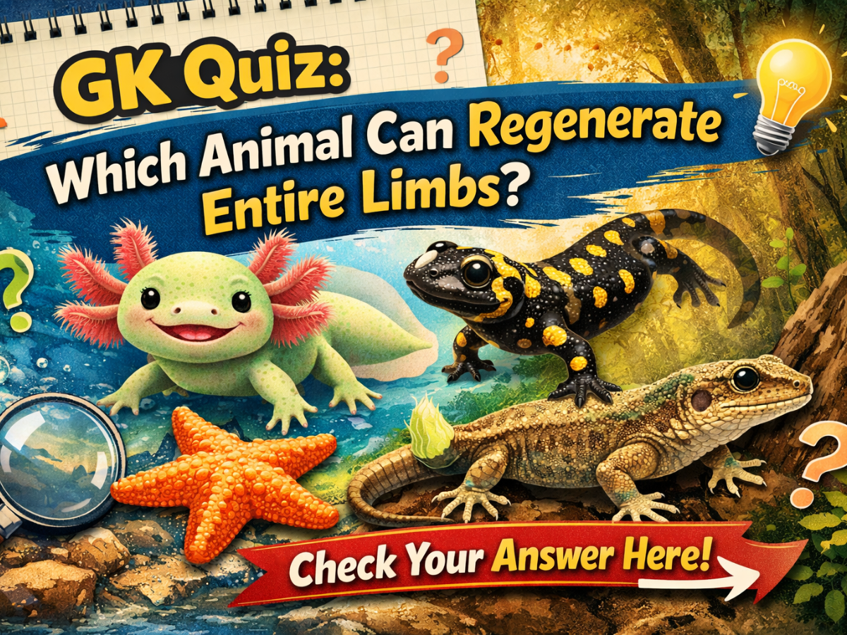 GK Quiz: Which Animal Can Regenerate Entire Limbs? Check Your Answer Here