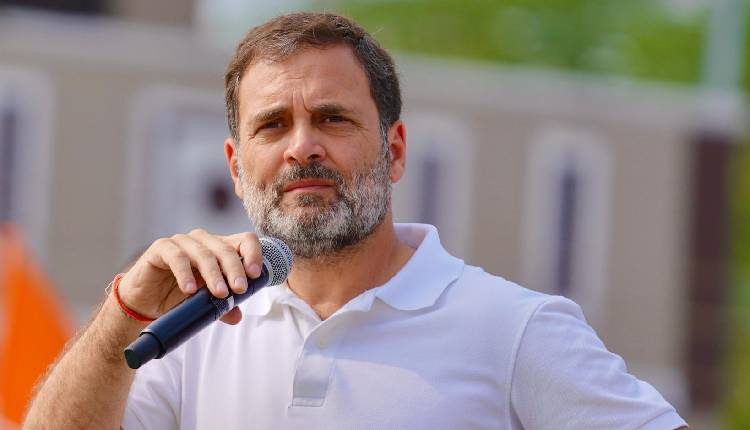 Rahul plans solo strategy for UP after Bengal
