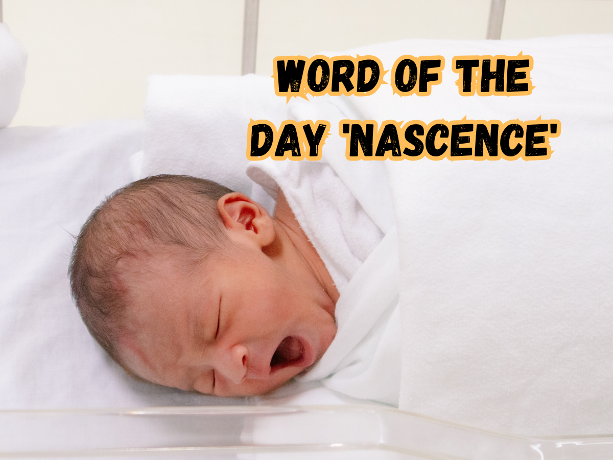 Word of the Day 'Nascence': Check About Meaning, Origin, Phonetic, IPA & More