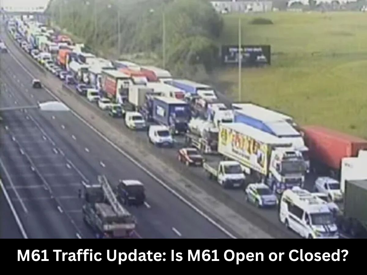M61 Traffic Update: Is M61 Open or Closed? Animals on Road Cause Major Delays Between Horwich & Chorley; Check Full Road Closure Details, Delays & Disruptions